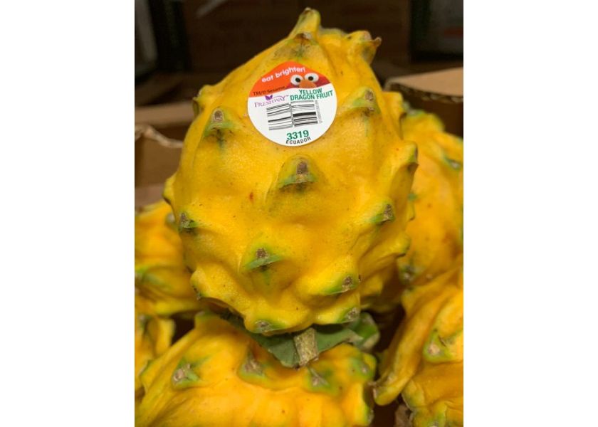 Freshway brings in yellow dragon fruit from Ecuador The Packer